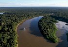 Desmatamento na Amazônia recua 17,4% em 2025 e atinge menor nível da série do Inpe