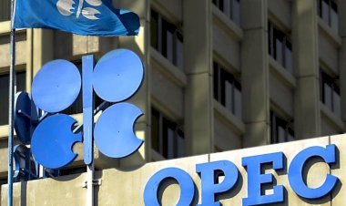 Emirados Árabes Unidos deixarão a Opep a partir de maio