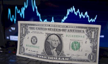 Dólar cai a R$ 4,91 e atinge menor valor desde janeiro de 2024