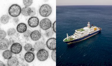 Vírus que matou três em navio tem origem na América do Sul