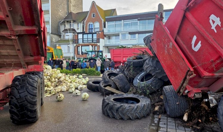 Agricultores franceses protestam contra acordo UE-Mercosul em frente à casa de praia de Macron