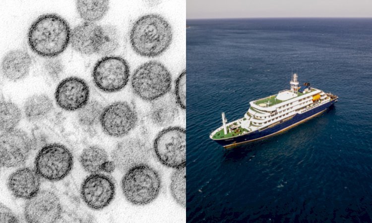 Vírus que matou três em navio tem origem na América do Sul
